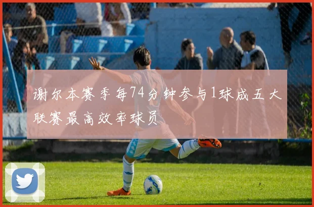 谢尔本赛季每74分钟参与1球成五大联赛最高效率球员