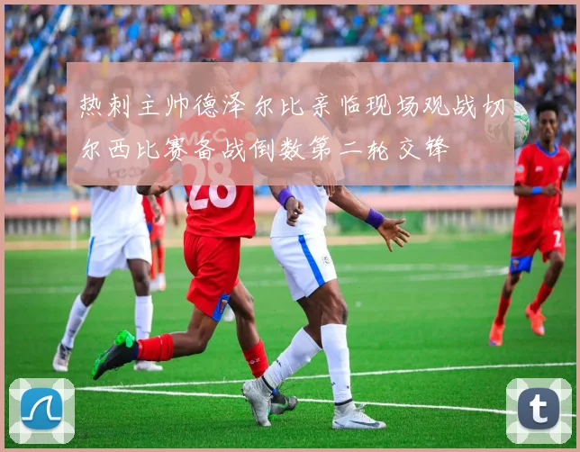 热刺主帅德泽尔比亲临现场观战切尔西比赛备战倒数第二轮交锋